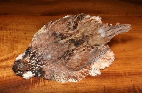 Mega Quail Skin Mega Quail Skin